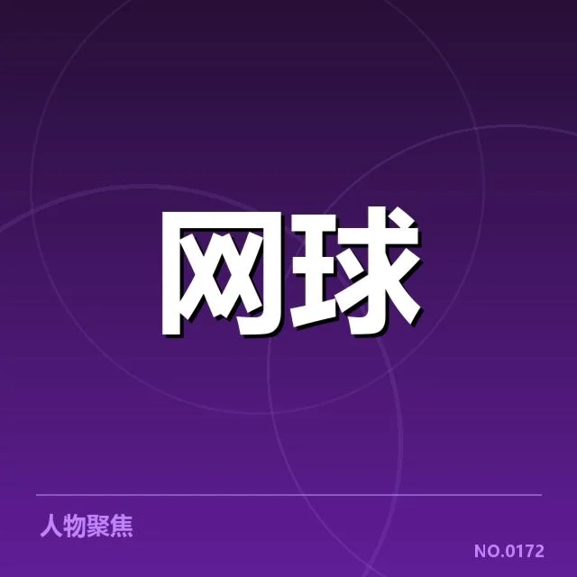 确认的比赛数据与技术验证情况